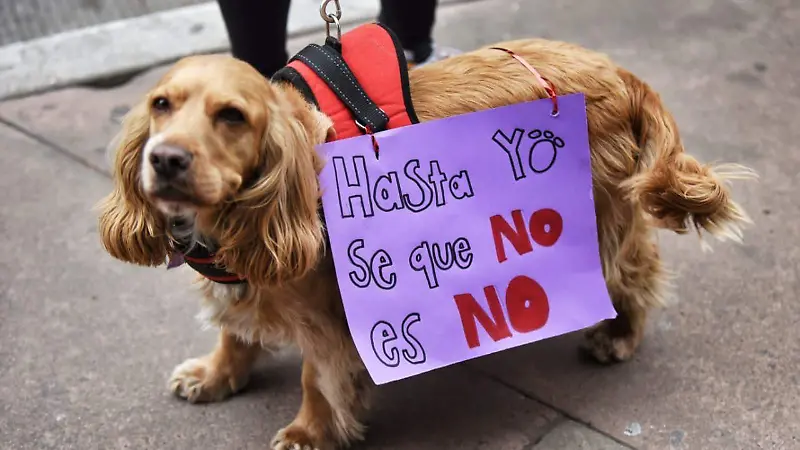 Marcha 8m 2026 Durango